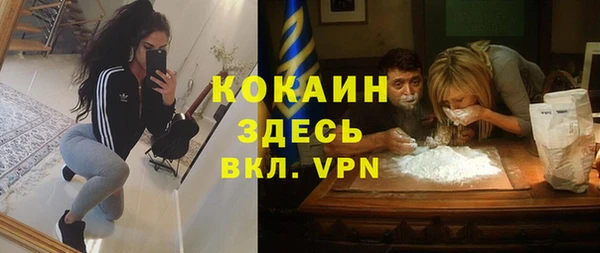 прущие грибы Армянск
