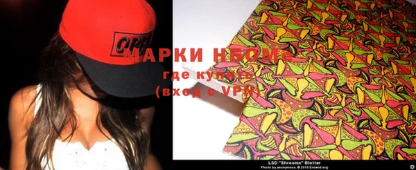 прущие грибы Армянск